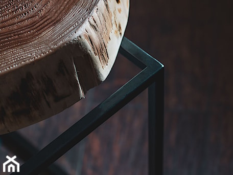 Aranżacje wnętrz - Salon: DRASIL stolik z blatem z plastra modrzewiowego na geometrycznej ramie - Dobek & Stypińska Manufaktura. Przeglądaj, dodawaj i zapisuj najlepsze zdjęcia, pomysły i inspiracje designerskie. W bazie mamy już prawie milion fotografii!