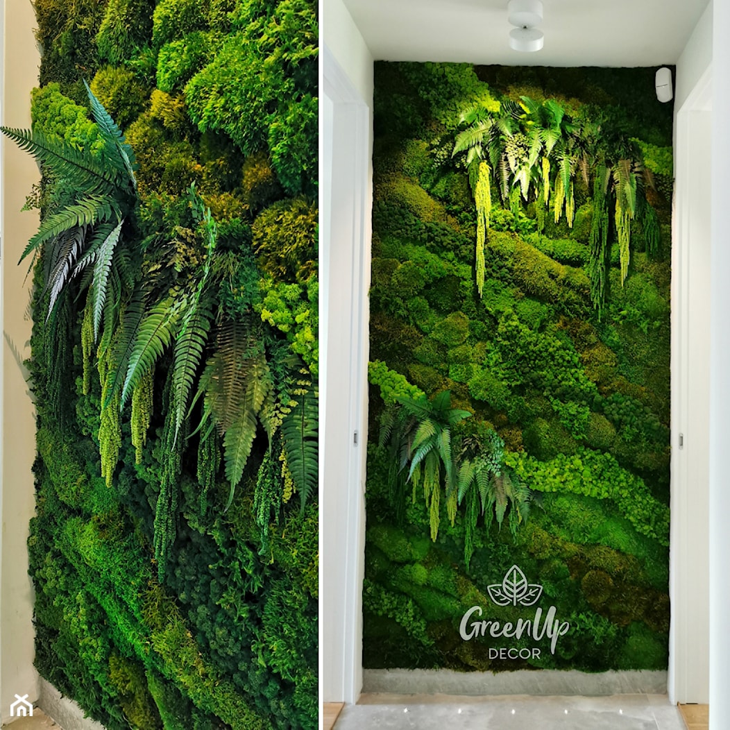 Zielona ściana z mchów i roślin stabilizowanych - zdjęcie od GrennUp decor - Homebook