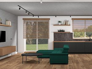 Dom pod Krakowem - Salon, styl nowoczesny - zdjęcie od Wyobrażalnia - studio projektowe