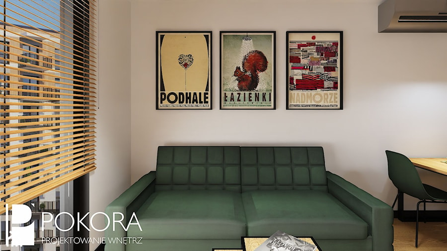 Apartamenty Raków - czarno zielone mieszkanie - Salon, styl nowoczesny - zdjęcie od POKORA - Projektowanie wnętrz