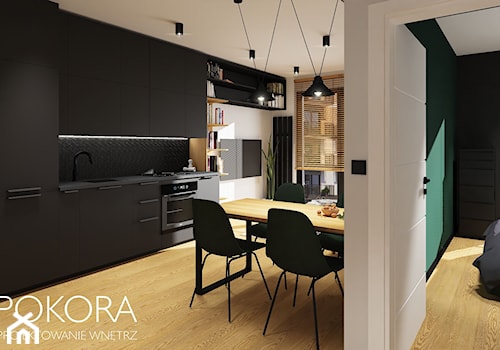 Apartamenty Raków - czarno zielone mieszkanie - Hol / przedpokój, styl nowoczesny - zdjęcie od POKORA - Projektowanie wnętrz