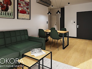 Apartamenty Raków - czarno zielone mieszkanie - Salon, styl nowoczesny - zdjęcie od POKORA - Projektowanie wnętrz