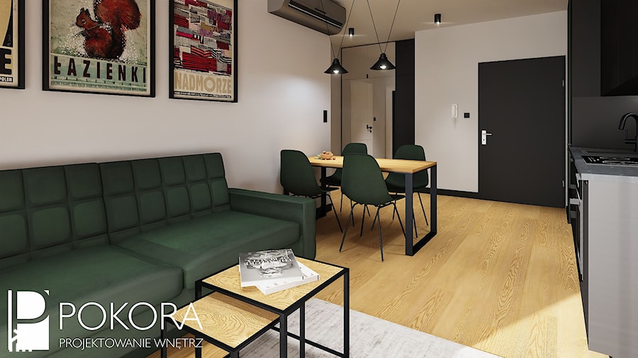 Apartamenty Raków - czarno zielone mieszkanie - Salon, styl nowoczesny - zdjęcie od POKORA - Projektowanie wnętrz