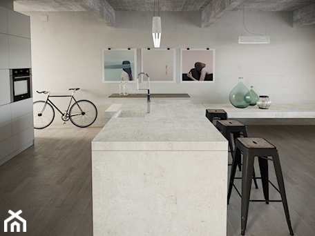 Aranżacje wnętrz - Kuchnia: Dekton Kitchen Lunar - Dekton by Cosentino. Przeglądaj, dodawaj i zapisuj najlepsze zdjęcia, pomysły i inspiracje designerskie. W bazie mamy już prawie milion fotografii!