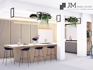 JM MEBEL SYSTEM ⋅ WNĘTRZE DOMU⋅ PROJEKT : KUCHNIA - zdjęcie od JM MEBEL System