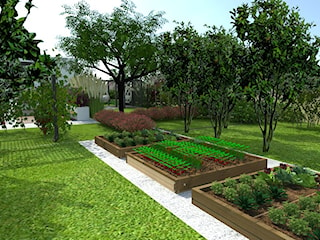 Ogród nowoczesny