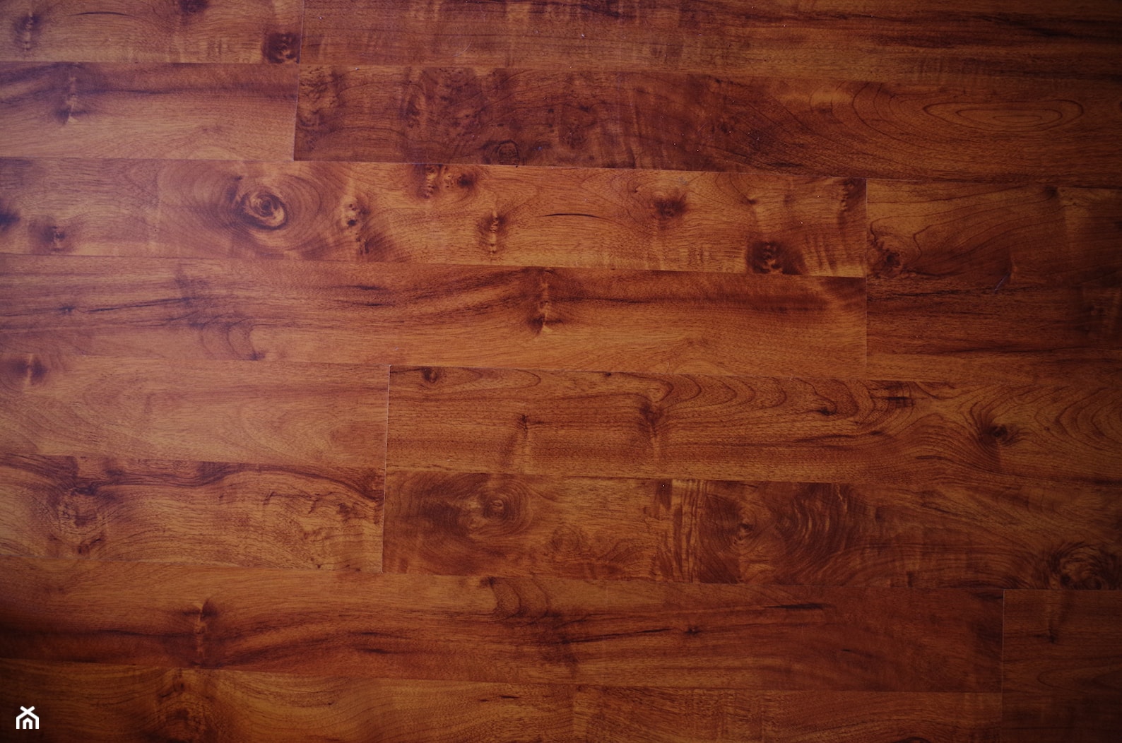 Podłoga drewniana - drewno egzotyczne - zdjęcie od Flooren - Homebook