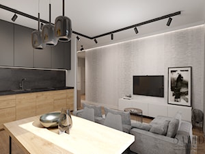 Mieskanie pod wynajem w stylu minimalistycznego loftu - Salon, styl minimalistyczny - zdjęcie od SAWID