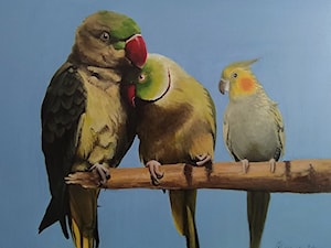 Papugi - zdjęcie od Lustkunst Aleksandra Kwapiszewska