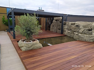 Taras z Ipe Lapacho, Pergola, Rosliny - zdjęcie od kacper4hardwood