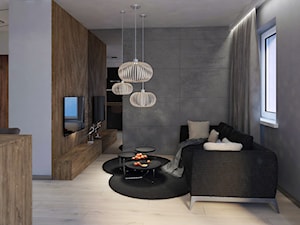 Modern Small Apartment - Mały szary salon - zdjęcie od DISENO INTERIORS - Apartamenty PREMIUM