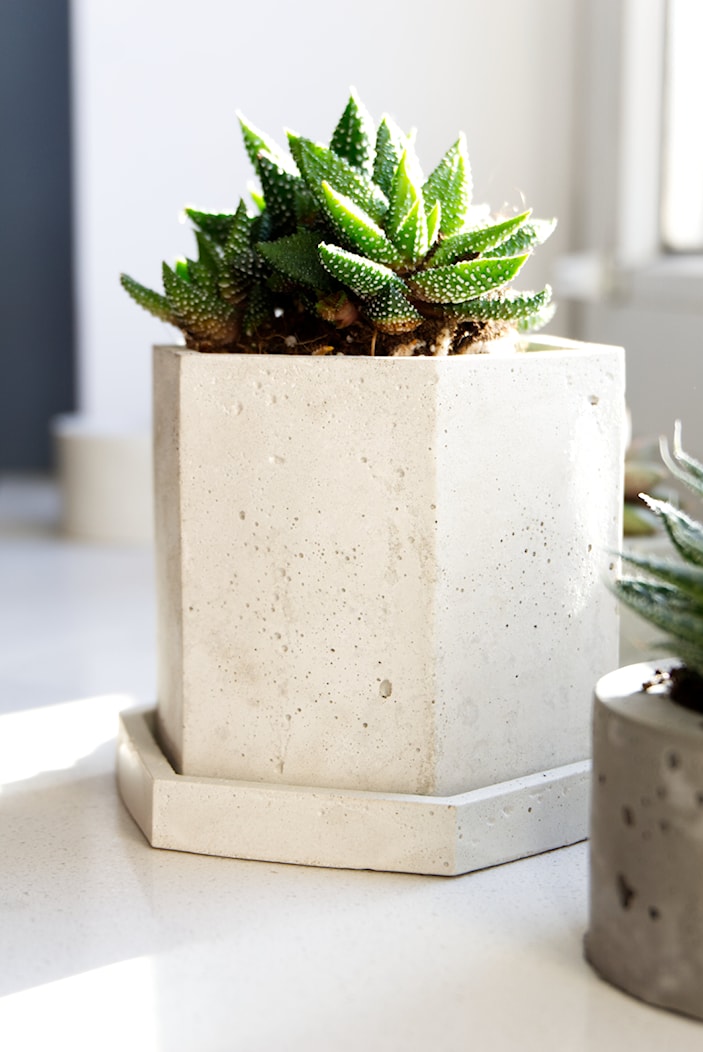Doniczka heksagonalna z betonu - zdjęcie od Rausch Beton - Homebook