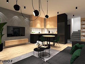 Projekt wnętrz domu Łódź - Kuchnia, styl minimalistyczny - zdjęcie od STUDIO-F