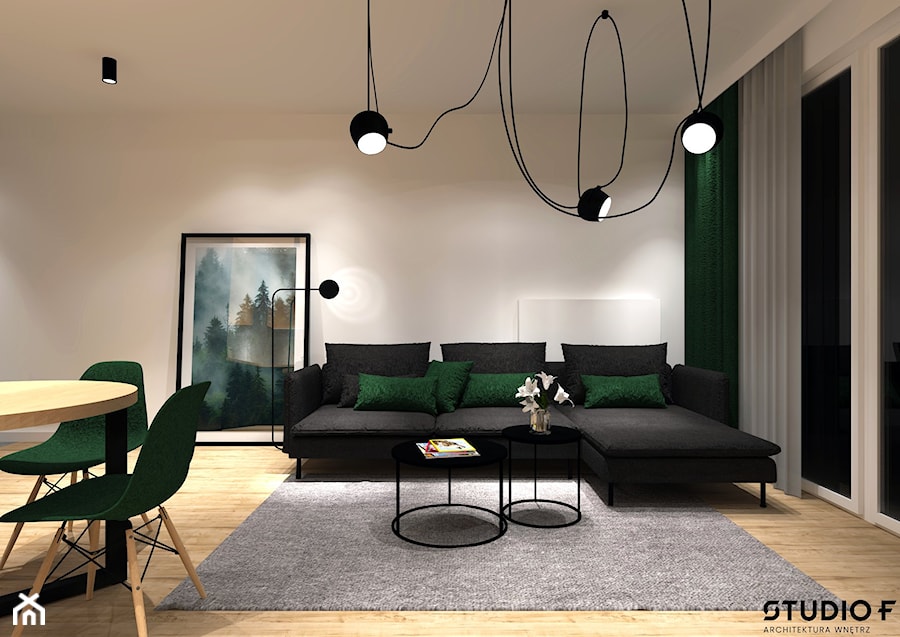 Projekt wnętrz domu Łódź - Salon, styl minimalistyczny - zdjęcie od STUDIO-F