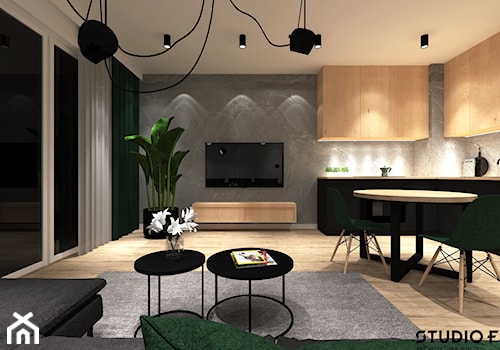 Projekt wnętrz domu Łódź - Salon, styl minimalistyczny - zdjęcie od STUDIO-F