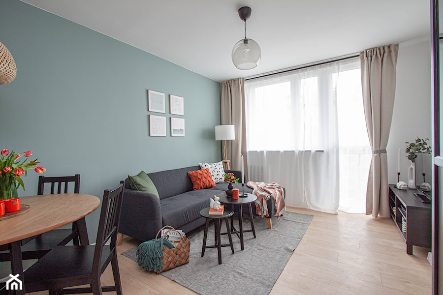 Sofa wypoczynkowa w salonie - zdjęcie od SYDONIA STAGING - HOME STAGING SZCZECIN