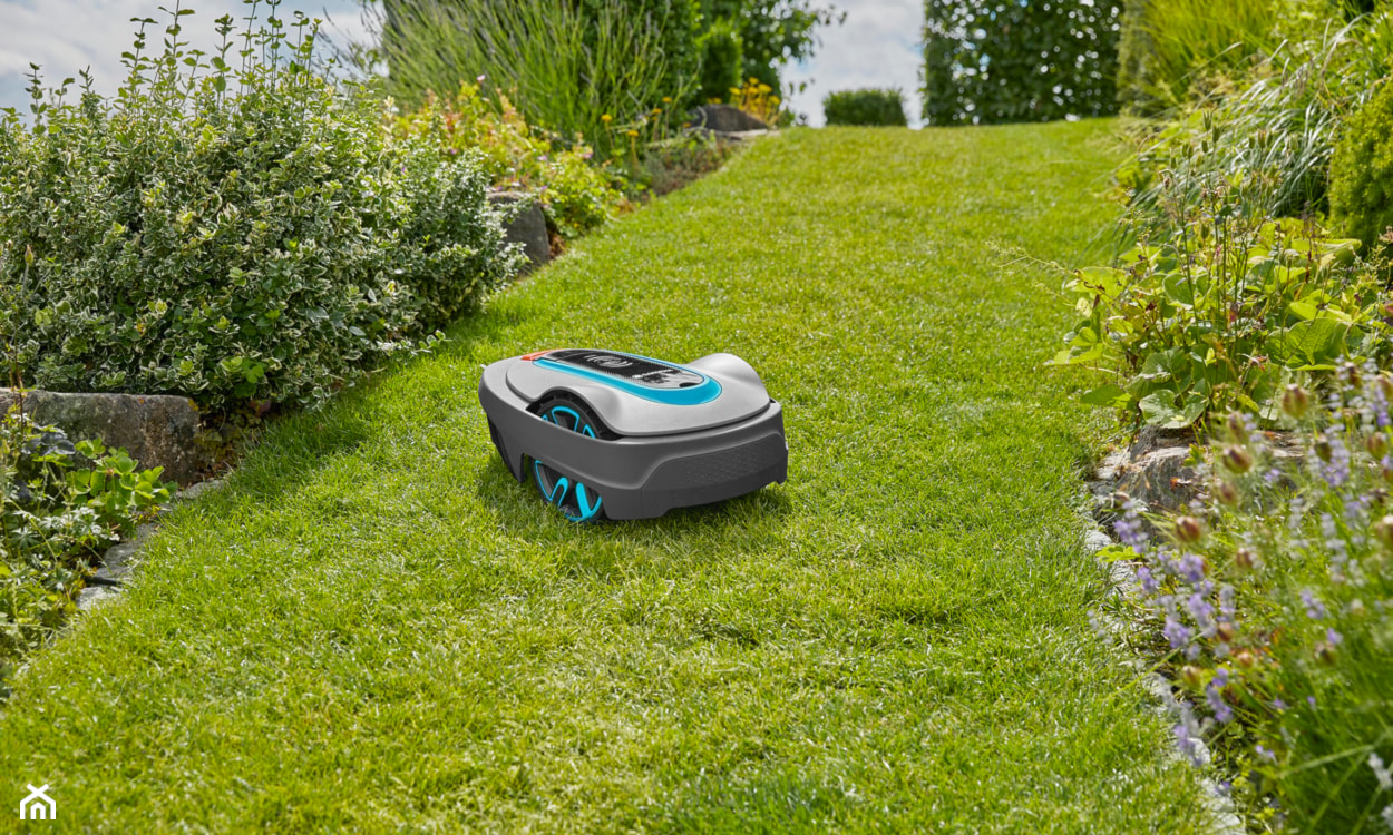 Koszenie trawnika - robot koszący