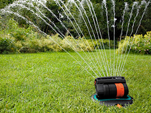 Systemy nawadniania ogrodu – poznaj najlepsze sposoby na podlewanie