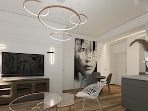 Mieszkanie w krakowskiej kamienicy - Salon, styl minimalistyczny - zdjęcie od SPACE PROJECT Małgorzata Rapacz