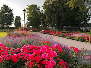 Park w Krzczonowie - zdjęcie od Zielone Studio Architektura Krajobrazu