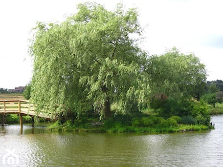 Aranżacje wnętrz - : - ACER Ogrody. Przeglądaj, dodawaj i zapisuj najlepsze zdjęcia, pomysły i inspiracje designerskie. W bazie mamy już prawie milion fotografii!