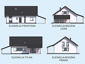 Wizualizacja domu NICEA - elewacje - zdjęcie od PRO ARTE Arkadiusz Woch, Krzysztof Biodrowicz
