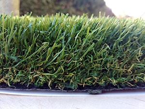 Trawa krajobrazowa Impress - zdjęcie od Dywany z trawy