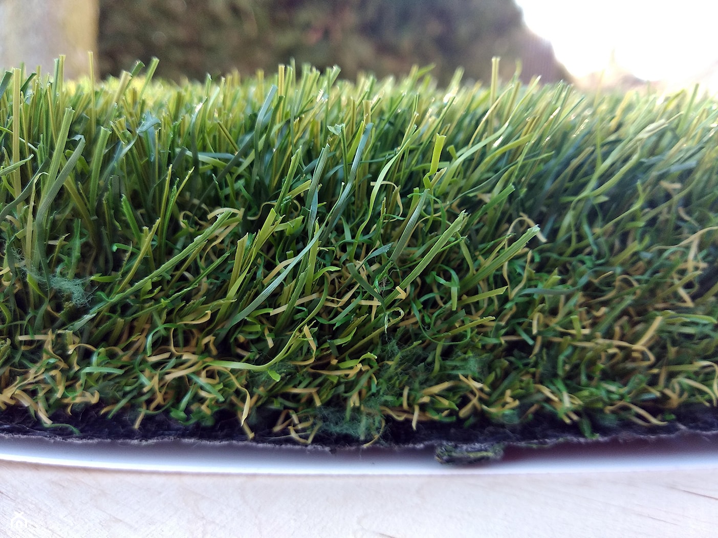 Trawa krajobrazowa Impress - zdjęcie od Dywany z trawy - Homebook