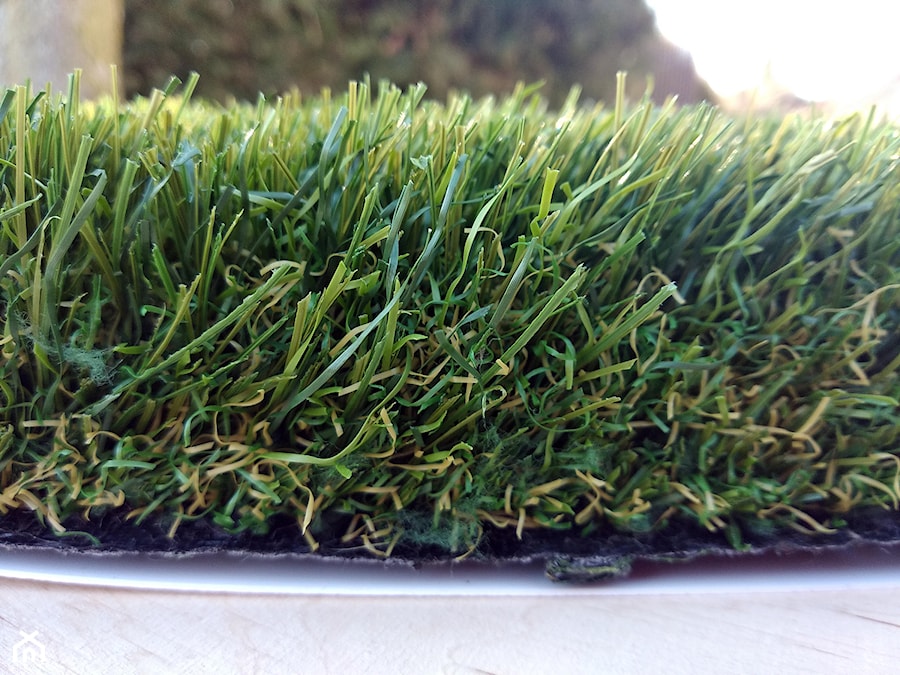 Trawa krajobrazowa Impress - zdjęcie od Dywany z trawy