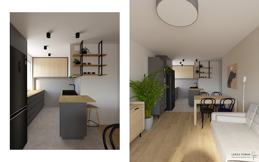 Aneks kuchenny w salonie - zdjęcie od Lekka Forma - pracownia projektowa