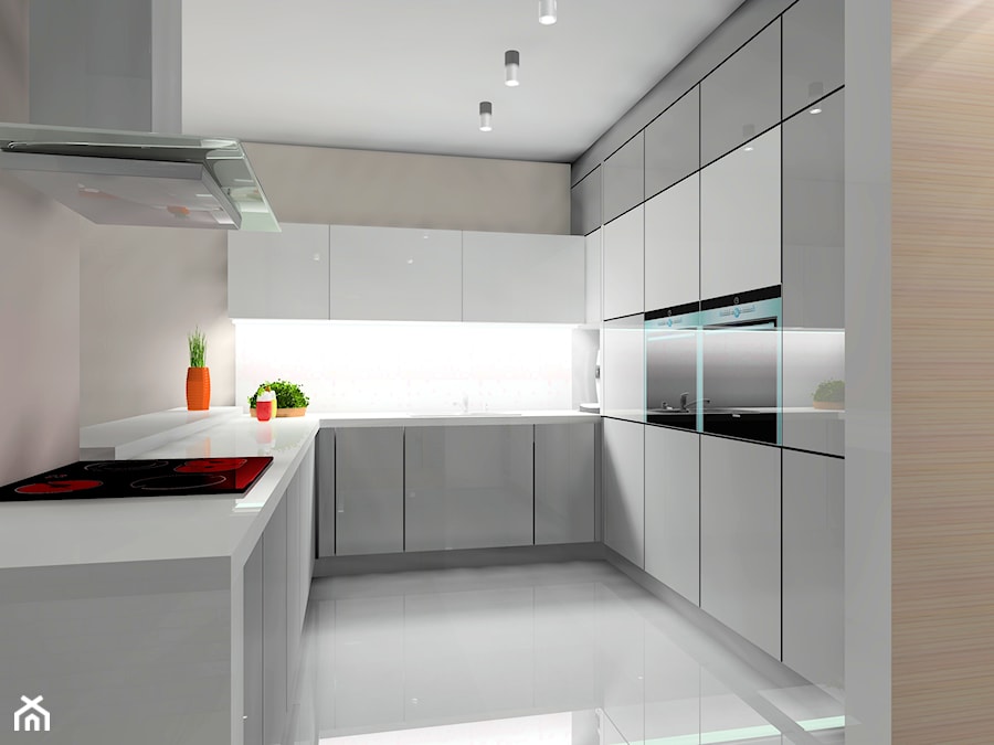 Wnętrza domu modelowego 2 - Kuchnia, styl skandynawski - zdjęcie od Blanka4design