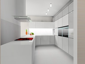 Wnętrza domu modelowego 2 - Kuchnia, styl skandynawski - zdjęcie od Blanka4design