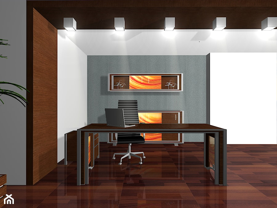Nowa linia wzrornicza - meble biurowe ze szkłem - Wnętrza publiczne, styl tradycyjny - zdjęcie od Blanka4design