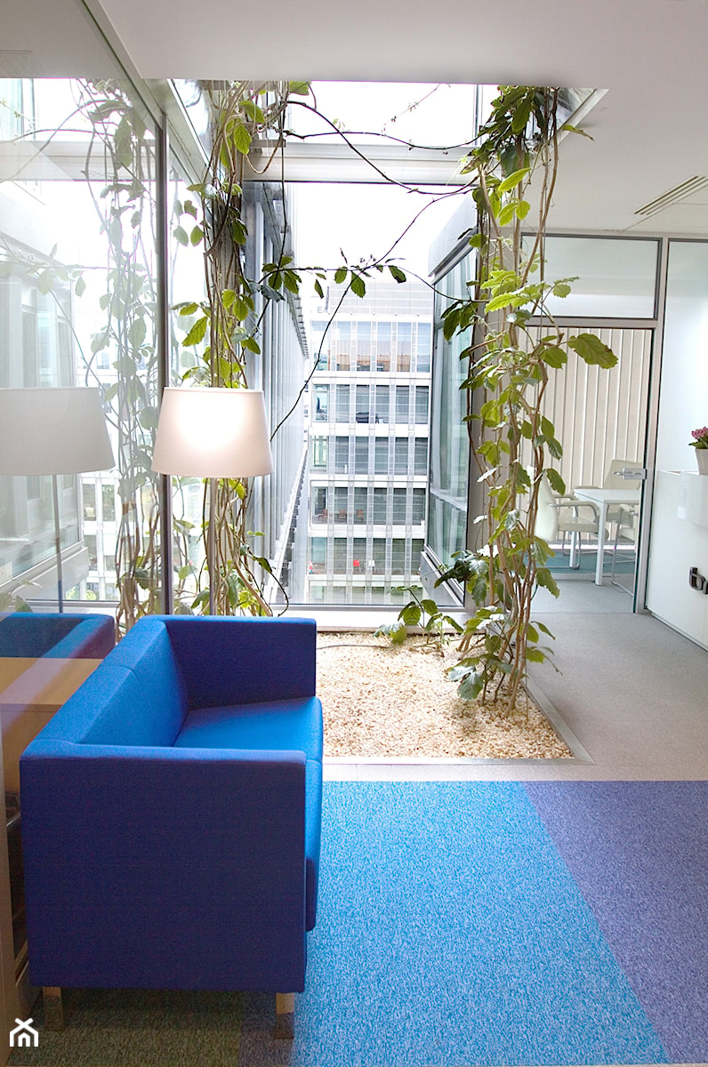 Rainbow office - Wnętrza publiczne, styl nowoczesny - zdjęcie od m o d e s i magdalena wasiak