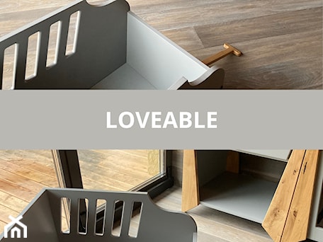 Aranżacje wnętrz - Pokój dziecka: LOVEABLE meble dziecięce od LOFTABLE - LOFTABLE Interior Design & Furniture. Przeglądaj, dodawaj i zapisuj najlepsze zdjęcia, pomysły i inspiracje designerskie. W bazie mamy już prawie milion fotografii!