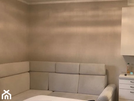 Aranżacje wnętrz - Salon: HOME STAGING MIESZKANIA 30 M2 - Salon, styl nowoczesny - STEP BY STEP DESIGN KAROLINA MEŁECH. Przeglądaj, dodawaj i zapisuj najlepsze zdjęcia, pomysły i inspiracje designerskie. W bazie mamy już prawie milion fotografii!