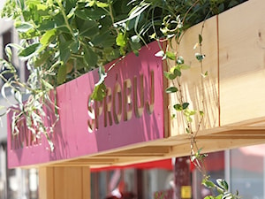 Projekt ogródka letniego dla lodziarnio-kawiarni Bola Dosse, Wrocław