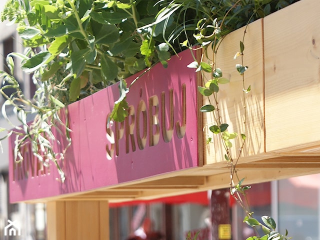 Projekt ogródka letniego dla lodziarnio-kawiarni Bola Dosse, Wrocław