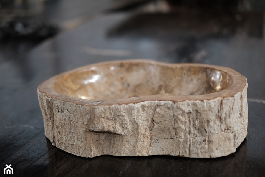 Umywalka ze skamieniałego drewna - zdjęcie od Kubikon