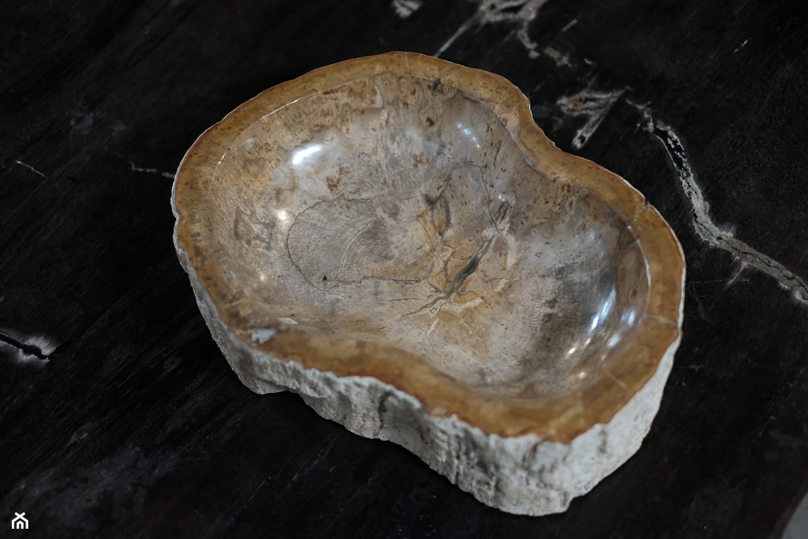 Umywalka ze skamieniałego drewna - zdjęcie od Kubikon - Homebook