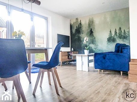 Aranżacje wnętrz - Salon: SALON W STYLU SKANDYNAWSKIM - Salon, styl skandynawski - KC Office. Przeglądaj, dodawaj i zapisuj najlepsze zdjęcia, pomysły i inspiracje designerskie. W bazie mamy już prawie milion fotografii!