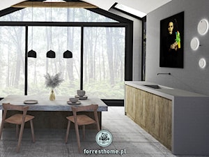 Minimalistyczna kuchnia - Kuchnia, styl minimalistyczny - zdjęcie od Forrest Home Architecture & Art