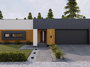 Dom Transylwania 2 - zdjęcie od HouseCollection.pl - Gotowe projekty domów