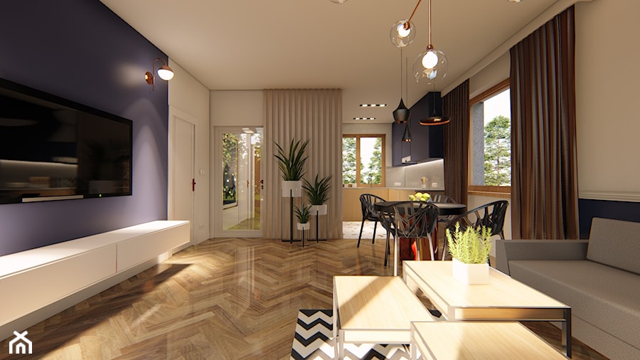 Dom Sepia - Salon, styl tradycyjny - zdjęcie od HouseCollection.pl - Gotowe projekty domów