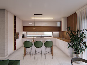 Dom Transylwania 4 - Kuchnia, styl nowoczesny - zdjęcie od HouseCollection.pl - Gotowe projekty domów