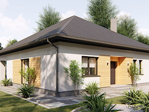 Dom Barbados 2 - zdjęcie od HouseCollection.pl - Gotowe projekty domów
