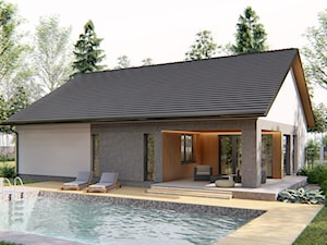 Dom Aribba - Domy, styl nowoczesny - zdjęcie od HouseCollection.pl - Gotowe projekty domów