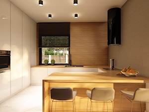 Dom Aribba - Kuchnia, styl nowoczesny - zdjęcie od HouseCollection.pl - Gotowe projekty domów
