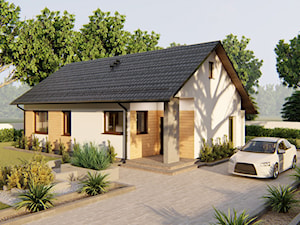 Dom Small Wood - zdjęcie od HouseCollection.pl - Gotowe projekty domów