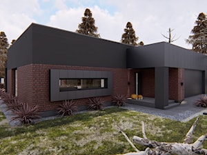 Dom Transylwania - zdjęcie od HouseCollection.pl - Gotowe projekty domów